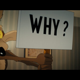 Coyote vs Acme